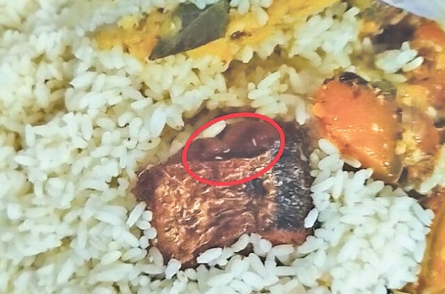 முல்லைத்தீவு உணவகத்தில் சாப்பாட்டு பார்சலுக்குள் இருந்த மீன் பொரியலுக்குள் புழு!