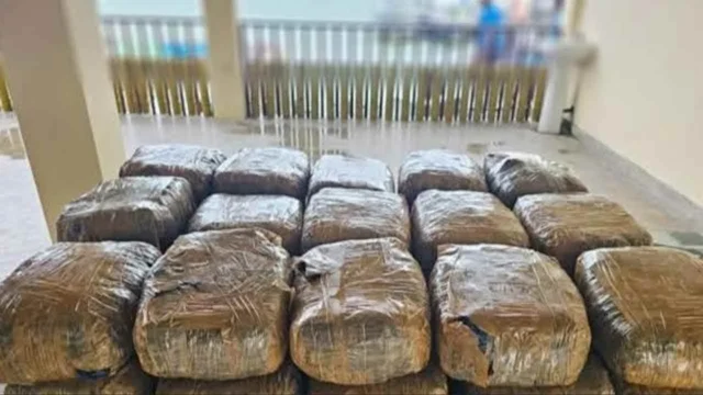 கற்பிட்டியில் 8 மில்லியன் ரூபாவுக்கும் அதிக மதிப்புள்ள கேரள கஞ்சா கைப்பற்றல் !