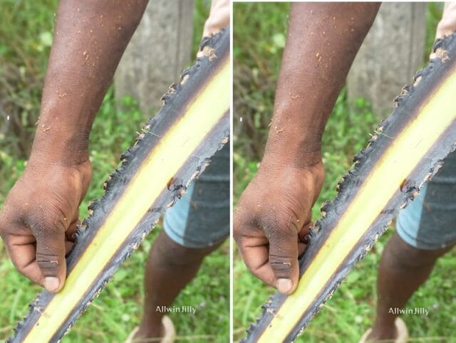 யாழில் 24 வயதுடைய யுவதி பச்சைப் பனை மட்டையால் அடித்து கொலை செய்யப்பட்டாரா?