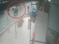 யாழில். பட்டப்பகலில் இளைஞன் கொலை – சிறைக்குள் தீட்டப்பட்ட திட்டம் ; வெளியாகியுள்ள அதிர்ச்சி தகவல்கள்.