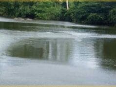 அநுராதபுரத்தில் இரண்டு பிள்ளைகளுடன் மல்வத்து ஓயாவில் குதித்த தாய்!