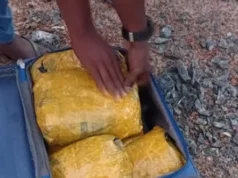 யாழில் சூட்கேஸில் கஞ்சா கடத்தல்; பொலிஸாரை கண்டதும் தப்பியோடிய இளைஞர்கள்!