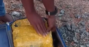 யாழில் சூட்கேஸில் கஞ்சா கடத்தல்; பொலிஸாரை கண்டதும் தப்பியோடிய இளைஞர்கள்! தமிழிஸ் செய்திகள் - Tamiliz Tamil News and Articles - Tamiliz News