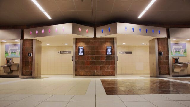 இலங்கையைச் சேர்ந்த லண்டன் பிரபல தொழிலதிபர் ராஜகோபாலும் சாரூசனும் சிறைக்குள் சென்றது ஏன்?