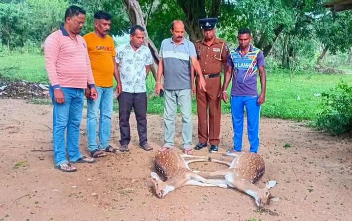 608949430_891604763817088_8075729459312494676_n