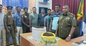 யாழில். கடற்கரையில் கஞ்சாவுடன் நடமாடிய இரு இளைஞர்கள் கைது! தமிழிஸ் செய்திகள் - Tamiliz Tamil News and Articles - Tamiliz News