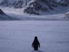 இணையத்தில் வெடிக்கும் சர்ச்சை! தனியாக சென்று சாக துணியும் பென்குயின்-ட்ரம்ப் போட்ட ஒரே ஒரு படம்! Nihilist Penguin