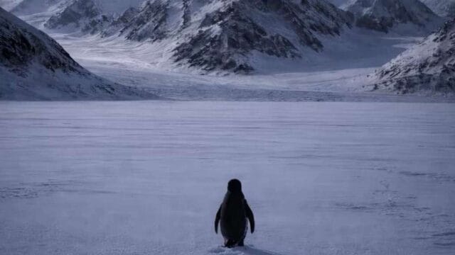 இணையத்தில் வெடிக்கும் சர்ச்சை! தனியாக சென்று சாக துணியும் பென்குயின்-ட்ரம்ப் போட்ட ஒரே ஒரு படம்! Nihilist Penguin