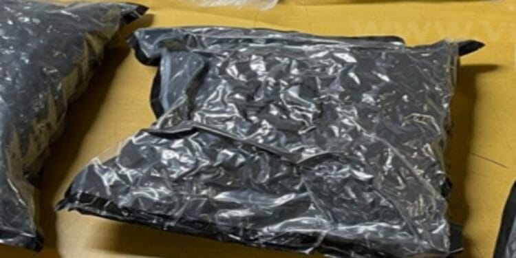 1001603120-1-750x375