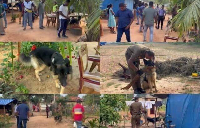 முல்லைத்தீவு புதுக்குடியிருப்பில் பிள்ளைகளுடன் படுத்திருந்த 35 வயது குடும்பப் பெண்ணிற்கு நள்ளிரவு கூரை பிரித்து உள்ளே சென்றவன் நடத்திய கொடூரச் செயல்!