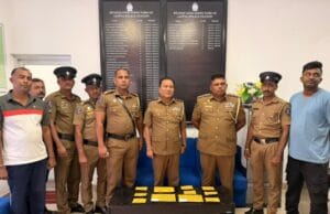 யாழில் இரண்டு பெண்கள் உள்ளிட்ட 13 பேர் யாழ்ப்பாணம் தலைமையக பொலிஸாரால் கைது! தமிழிஸ் செய்திகள் - Tamiliz Tamil News and Articles - Tamiliz News