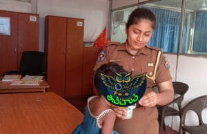 கிளிநொச்சியில் ஒன்றரை வயது குழந்தையை 50 ஆயிரத்திற்கு விற்க முற்பட்ட தாயும் ஆணும் பிடிபட்டது எப்படி? தமிழிஸ் செய்திகள் - Tamiliz Tamil News and Articles - Tamiliz News