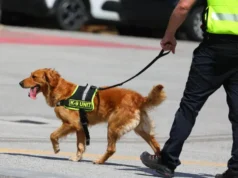 தனிமையில் வசித்து வந்த பெண்ணை இரவிரவாக சித்திரவதை செய்து கொன்றது யார்? மோப்பநாய்கள் சகிதம் பொலிசார் தேடுதல்!