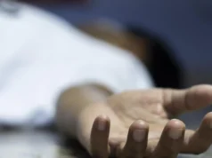 யாழில் அண்ணணைக் காணவில்லை என தேடிய தங்கச்சிக்கு ஏற்பட்ட அதிர்ச்சி! 5 முறை நடந்த சம்பவம்! தமிழிஸ் செய்திகள் - Tamiliz Tamil News and Articles - Tamiliz News