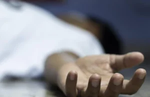 யாழில் அண்ணணைக் காணவில்லை என தேடிய தங்கச்சிக்கு ஏற்பட்ட அதிர்ச்சி! 5 முறை நடந்த சம்பவம்! தமிழிஸ் செய்திகள் - Tamiliz Tamil News and Articles - Tamiliz News