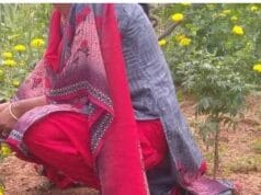 36 வயதாகியும் கலியாணம் நடக்கவில்லை! யாழில் பட்டதாரி பெண் அலுவலர் எடுத்த முடிவு!