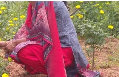 36 வயதாகியும் கலியாணம் நடக்கவில்லை! யாழில் பட்டதாரி பெண் அலுவலர் எடுத்த முடிவு! தமிழிஸ் செய்திகள் - Tamiliz Tamil News and Articles - Tamiliz News