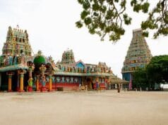 நயினாதீவு அம்மன் கோயில் உண்டியல் உடைத்து 21 லட்சம் ரூபாய்கள் திருடிய 2 சிறுவர்கள் உட்பட 3 பேர் கைது! நடந்தது என்ன?