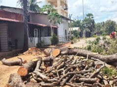 மூளையைக் கழற்றி வைத்து விட்டு தலைக்கு மசாஜ் செய்த கிளிநொச்சி வைத்தியசாலை நிர்வாகம்! பரபரப்பு தகவல்கள் இதோ
