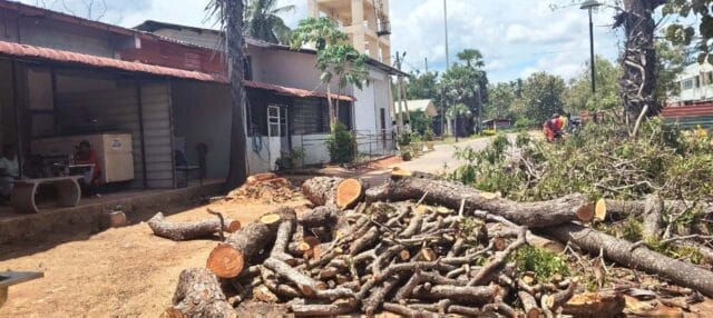 மூளையைக் கழற்றி வைத்து விட்டு தலைக்கு மசாஜ் செய்த கிளிநொச்சி வைத்தியசாலை நிர்வாகம்! பரபரப்பு தகவல்கள் இதோ