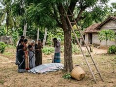 யாழில், கறிவேப்பிலை பறிப்பதற்காக மரத்தில் ஏறியவர் தவறி கீழே விழுந்து மரணம்!