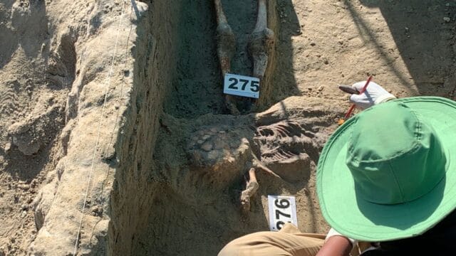 செம்மணி – இன்றும் 3 சிறுவர்களுடைய என்புக்கூடுகள் உட்பட 11 என்புக்கூடுகள் மீட்பு!
