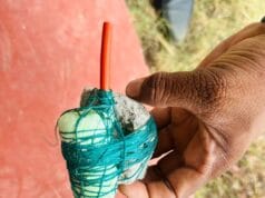 வெற்றிலைக்கேணியில் வெடிமருந்துடன் கடற்தொழிலாளர் கைது!