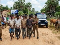 யாழில் மாட்டுக்கள்ளர்கள் 7 பேர் பிடிபட்டது எப்படி?