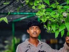 புதுக்குடியிருப்பில் இடம்பெற்ற கோர விபத்து – இளைஞர் உயிரிழப்பு மூவர் படுகாயம்!