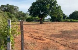 யாழில் புலம்பெயர் தமிழர்களின் காணிகளை குறி வைத்து போலி ஆவணங்களுடன் சுற்றும் மர்ம நபர்கள்!! அவதானம் மக்களே!! தமிழிஸ் செய்திகள் - Tamiliz Tamil News and Articles - Tamiliz News