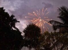 வாணவேடிக்கையால் தீப்பற்றிய பனைமரம், பாதுகாப்பு வேலி – யாழ் திருவிழாவில் விபரீதம்