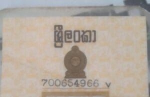 காட்டு யானை தாக்குதலுக்கு இலக்காகி ரெங்கசாமி பலி!! தமிழிஸ் செய்திகள் - Tamiliz Tamil News and Articles - Tamiliz News