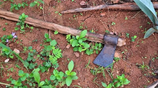 முல்லைத்தீவு பனிக்கன்குளம் பகுதியில் வீட்டில் தூங்கிக்கொண்டிருந்த இருவர் அடித்துக் கொலை!வீடியோ