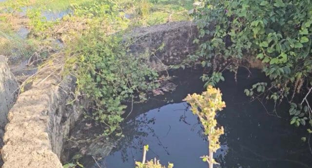 யாழ் அராலியில் அதிசயம்! பெருக்கெடுக்கும் கிணறுகள்! வீடியோ
