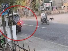 சினிமாவை மிஞ்சிய சம்பவம்! பொலிஸ் CID யைக் கொல்ல பிரான்ஸ் ரூபனால் போடப்பட்ட பக்கா திட்டம் பிடிபட்டது எப்படி! தமிழிஸ் செய்திகள் - Tamiliz Tamil News and Articles - Tamiliz News