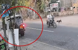 சினிமாவை மிஞ்சிய சம்பவம்! பொலிஸ் CID யைக் கொல்ல பிரான்ஸ் ரூபனால் போடப்பட்ட பக்கா திட்டம் பிடிபட்டது எப்படி! தமிழிஸ் செய்திகள் - Tamiliz Tamil News and Articles - Tamiliz News